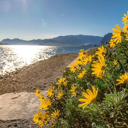 Como Lake With Two People Lake View And Near Beach Apartment Acquaseria